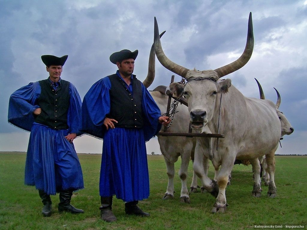 【匈牙利-全景體驗】 7天6夜 匈牙利首都 · 葡萄莊園 · 平原 · 溫泉湖（飯店+火車/飛機票套餐）