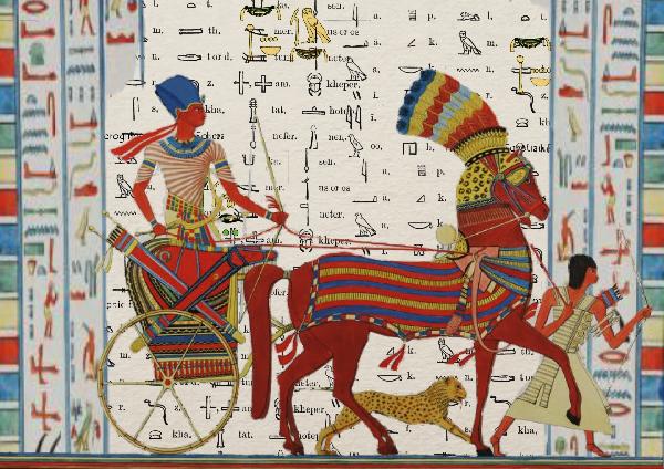 尼罗河畔与红海之滨：开罗、卢克索与胡尔格达的埃及之旅