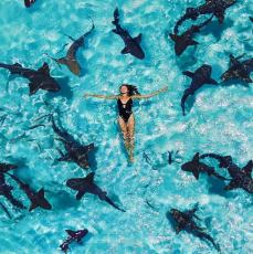 马尔代夫禧亚世嘉度假村：一场无与伦比的印度洋欢愉盛宴