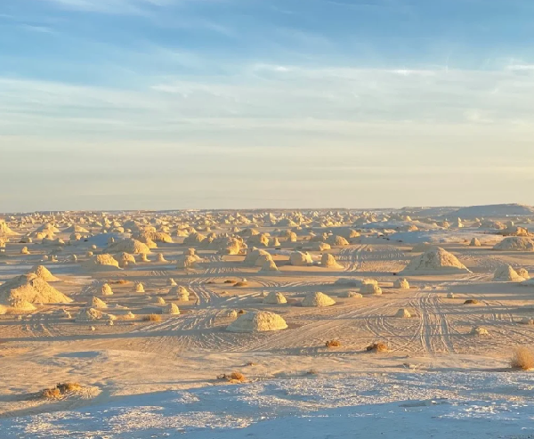 穿越撒哈拉：开罗至巴哈利亚绿洲与黑白沙漠探险记