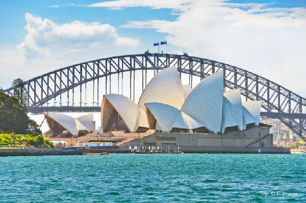 悉尼经典环线一日游：从达令港到邦迪的都市风情与海岸魅力