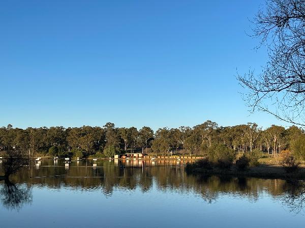 悉尼周边经典环线之旅：达令港、猎人谷、中央海岸游记