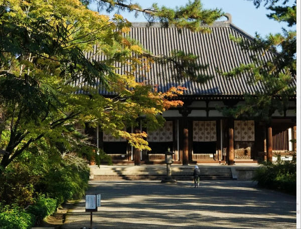 关西古韵与现代风情：大阪-京都-奈良七日环游记