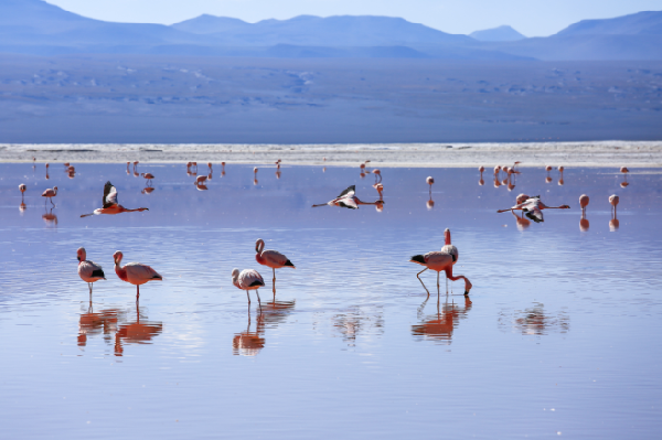 【墨西哥中文小團】墨西哥城+瓜納華托+聖米格爾+坎昆|天坑&粉紅湖：10天9晚殖民小鎮環線（墨西哥城進 坎昆出）