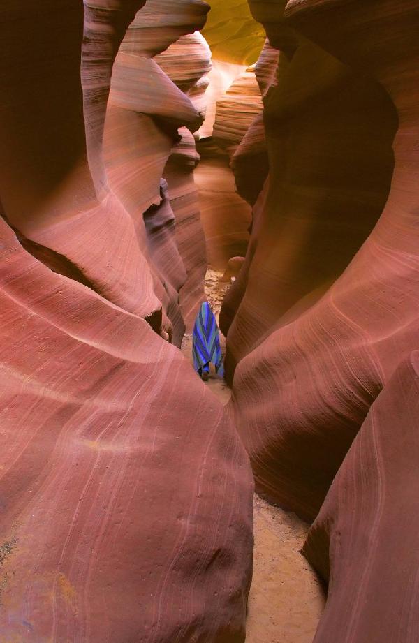 美國西部9日遊：太浩湖+蛇河峽谷+黃石國家公園+大提頓國家公園+下羚羊彩穴+大峽谷國家公園+拉斯維加斯（洛杉磯往返 可選舊金山上團）