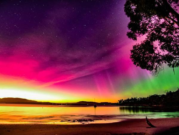 澳大利亞塔斯馬尼亞追光5日遊（可選4日）