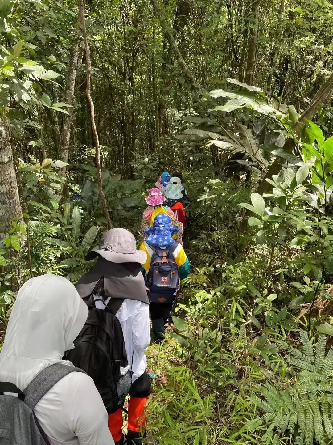 海南熱帶雨林國家公園 五指山 自然博物科考營