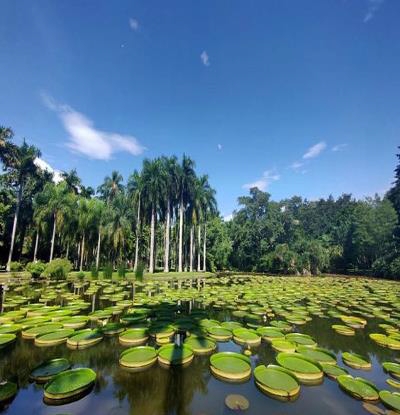 【西雙版納】擁抱熱帶雨林、追尋亞洲象蹤跡，體驗瑤式美學，搭建西雙版納最向往的生活！